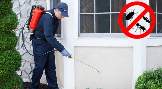 Güzelyalı Kemirgen İlaçlama böcek ilaçlama ve haşere kontrolü — ilaclama-tr.com